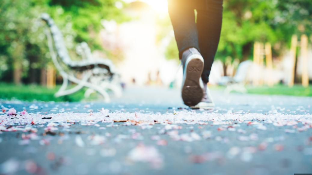 “Person walking through a park on a sunny day, symbolising daily steps and active living after 50.”