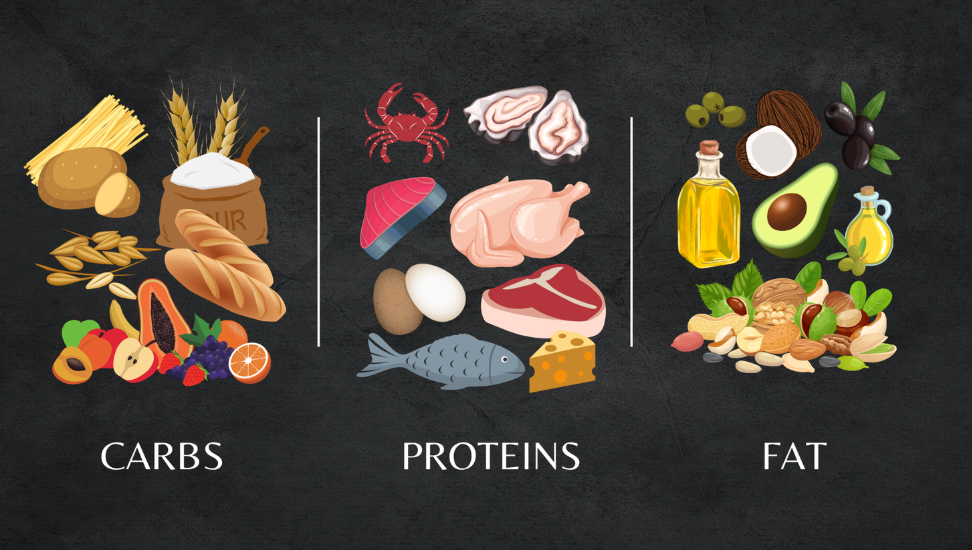 Illustration showing examples of macronutrients: carbohydrates such as pasta, bread, potatoes and fruit; protein sources including fish, eggs, poultry and meat; and healthy fats such as avocado, nuts, olive oil and seeds.