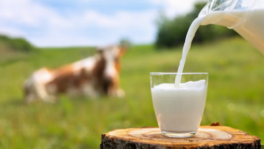 “Fresh milk being poured into a clear glass placed on a wooden stump in a green field, with a cow grazing softly out of focus in the background.”