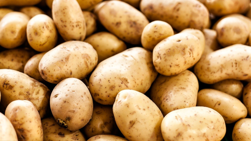 “Fresh whole potatoes with skins on, unpeeled and piled together, showing natural texture and colour — a nutritious, fibre-rich staple food.”