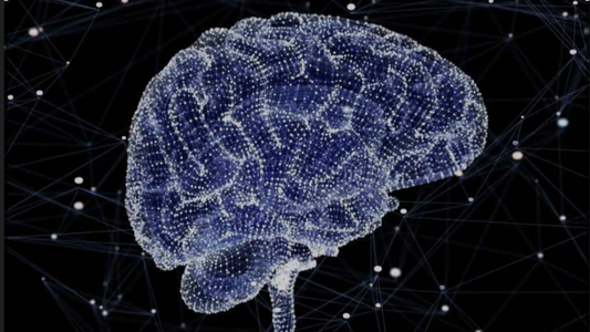 Thinking Well After 50: How to Keep Your Mind Sharp, Connected &amp; Health